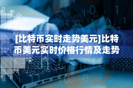 [比特币实时走势美元]比特币美元实时价格行情及走势