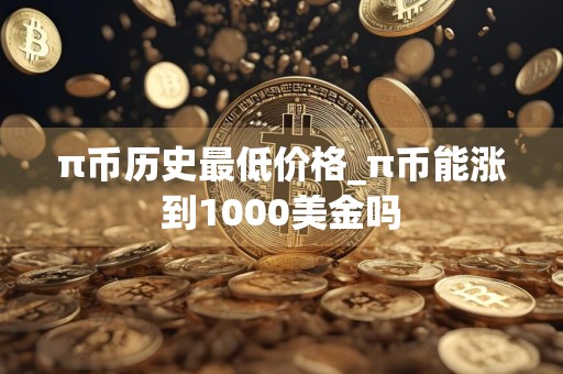 π币历史最低价格_π币能涨到1000美金吗