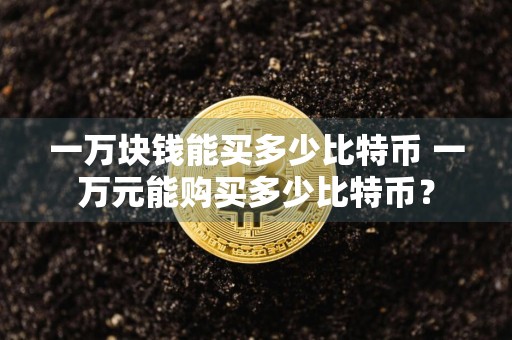 一万块钱能买多少比特币 一万元能购买多少比特币?