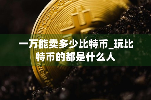 一万能卖多少比特币_玩比特币的都是什么人