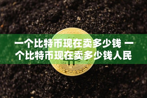 一个比特币现在卖多少钱 一个比特币现在卖多少钱人民币