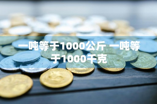 一吨等于1000公斤 一吨等于1000千克