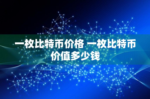 一枚比特币价格 一枚比特币价值多少钱