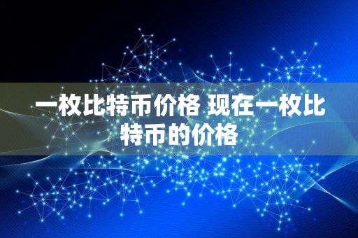 一枚比特币价格 现在一枚比特币的价格