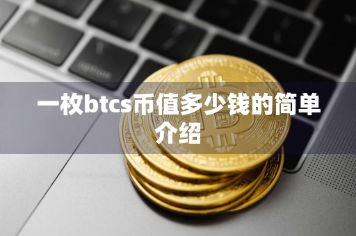 一枚btcs币值多少钱的简单介绍