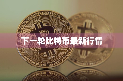 下一轮比特币最新行情