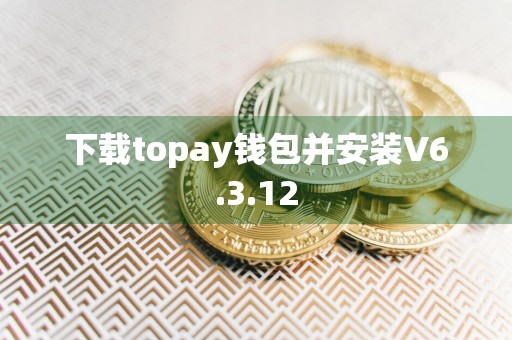 下载topay钱包并安装V6.3.12