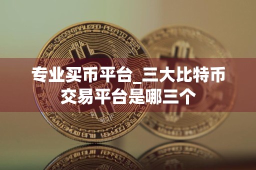 专业买币平台_三大比特币交易平台是哪三个