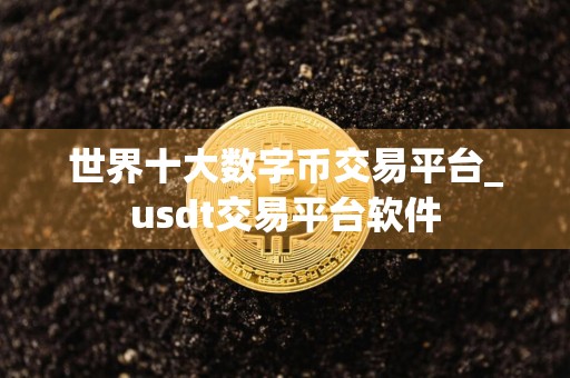世界十大数字币交易平台_usdt交易平台软件