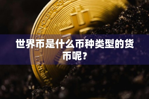 世界币是什么币种类型的货币呢？