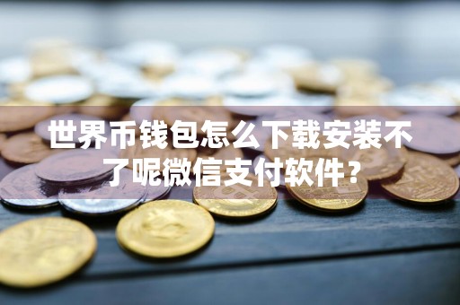 世界币钱包怎么下载安装不了呢微信支付软件?