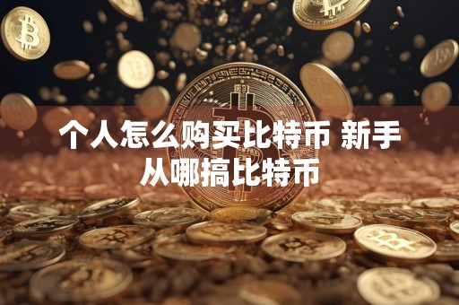 个人怎么购买比特币 新手从哪搞比特币