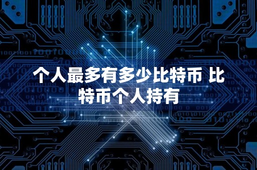 个人最多有多少比特币 比特币个人持有