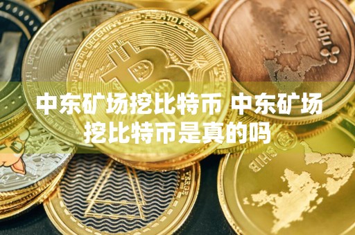 中东矿场挖比特币 中东矿场挖比特币是真的吗