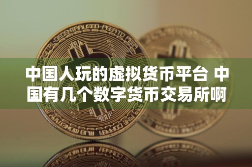 中国人玩的虚拟货币平台 中国有几个数字货币交易所啊