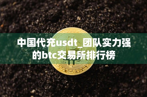 中国代充usdt_团队实力强的btc交易所排行榜