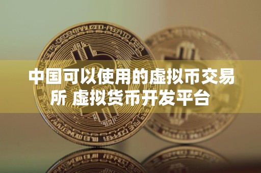 中国可以使用的虚拟币交易所 虚拟货币开发平台