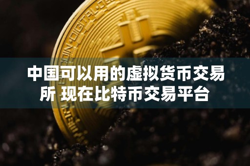 中国可以用的虚拟货币交易所 现在比特币交易平台