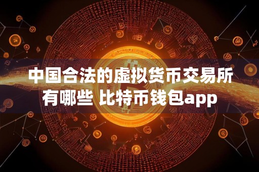中国合法的虚拟货币交易所有哪些 比特币钱包app