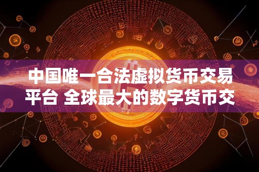中国唯一合法虚拟货币交易平台 全球最大的数字货币交易所