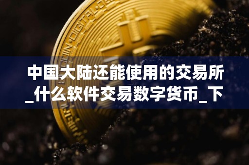 中国大陆还能使用的交易所_什么软件交易数字货币_下载什么APP买币