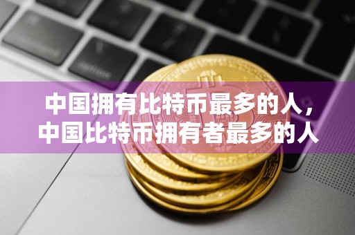 中国拥有比特币最多的人,中国比特币拥有者最多的人