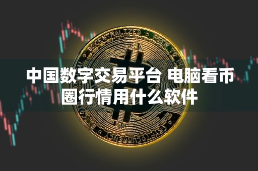 中国数字交易平台 电脑看币圈行情用什么软件