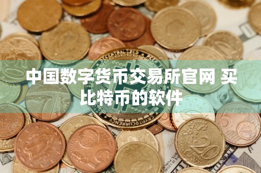 中国数字货币交易所官网 买比特币的软件