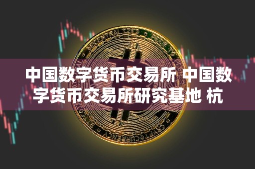 中国数字货币交易所 中国数字货币交易所研究基地 杭州