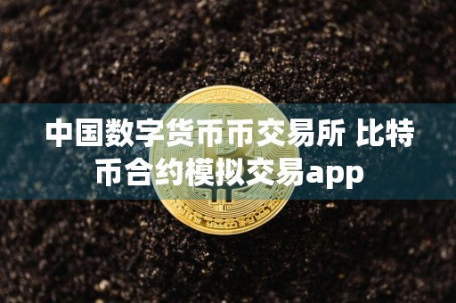 中国数字货币币交易所 比特币合约模拟交易app