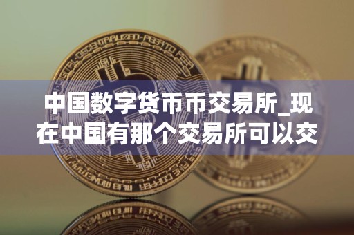 中国数字货币币交易所_现在中国有那个交易所可以交易_买币软件哪个最好