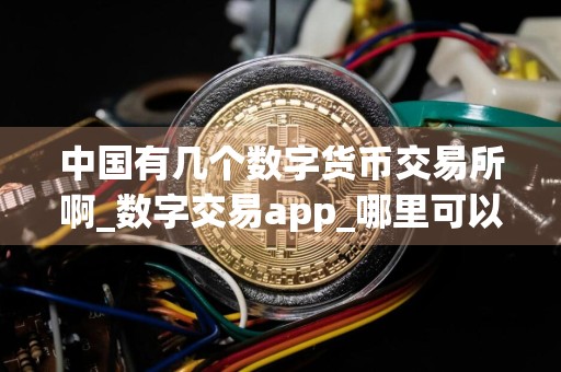 中国有几个数字货币交易所啊_数字交易app_哪里可以买币