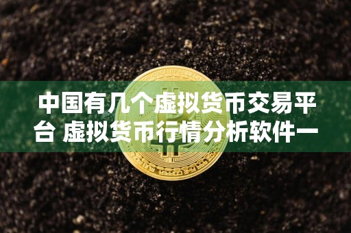 中国有几个虚拟货币交易平台 虚拟货币行情分析软件一起备