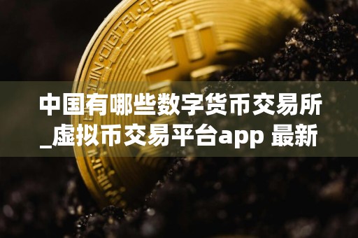 中国有哪些数字货币交易所_虚拟币交易平台app 最新版本
