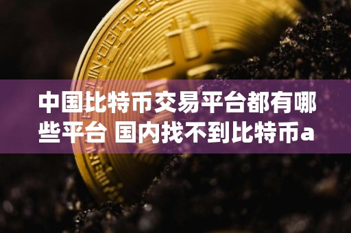 中国比特币交易平台都有哪些平台 国内找不到比特币app