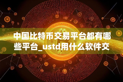 中国比特币交易平台都有哪些平台_ustd用什么软件交易