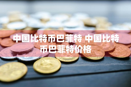 中国比特币巴菲特 中国比特币巴菲特价格