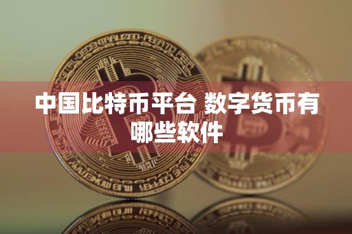 中国比特币平台 数字货币有哪些软件