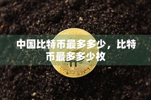 中国比特币最多多少，比特币最多多少枚