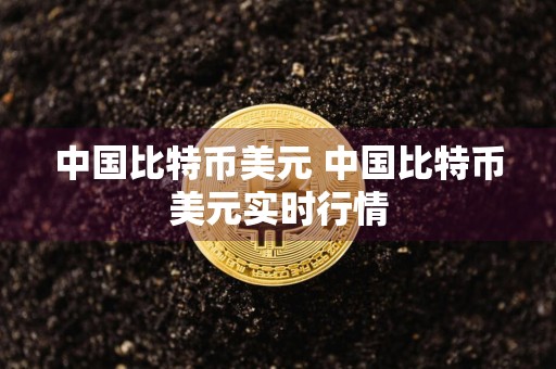 中国比特币美元 中国比特币美元实时行情