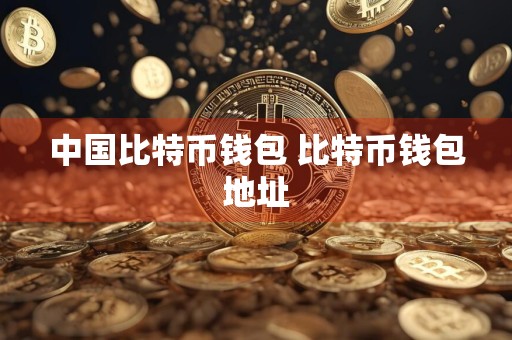 中国比特币钱包 比特币钱包地址