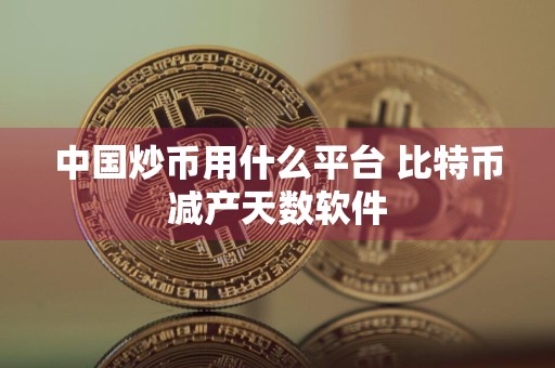 中国炒币用什么平台 比特币减产天数软件