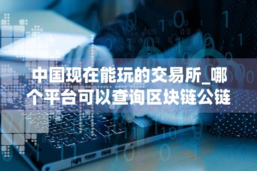 中国现在能玩的交易所_哪个平台可以查询区块链公链_买币量化交易软件