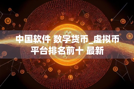 中国软件 数字货币_虚拟币平台排名前十 最新