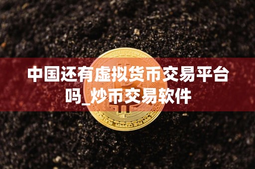 中国还有虚拟货币交易平台吗_炒币交易软件