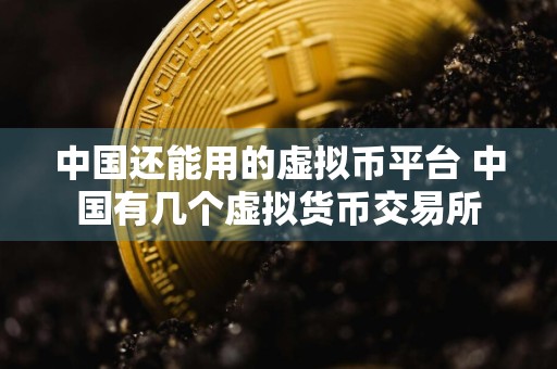 中国还能用的虚拟币平台 中国有几个虚拟货币交易所