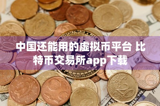 中国还能用的虚拟币平台 比特币交易所app下载