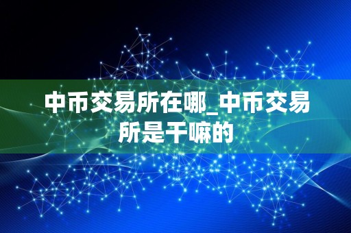 中币交易所在哪_中币交易所是干嘛的