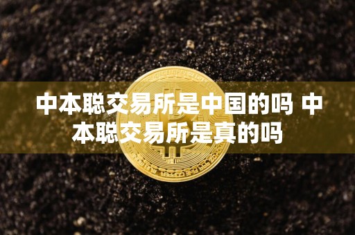 中本聪交易所是中国的吗 中本聪交易所是真的吗