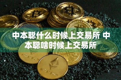 中本聪什么时候上交易所 中本聪啥时候上交易所